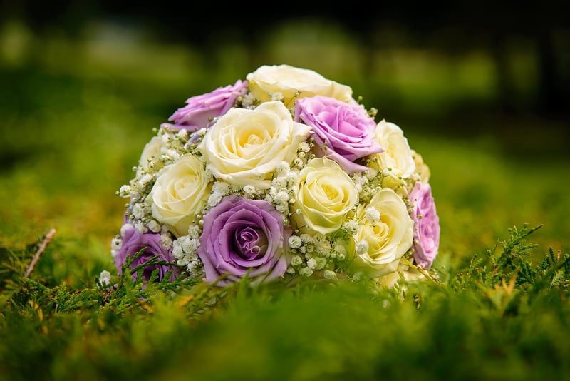 Garden Florals