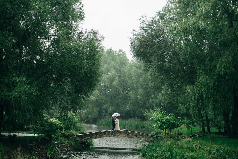 Enchanting Forest Clearing