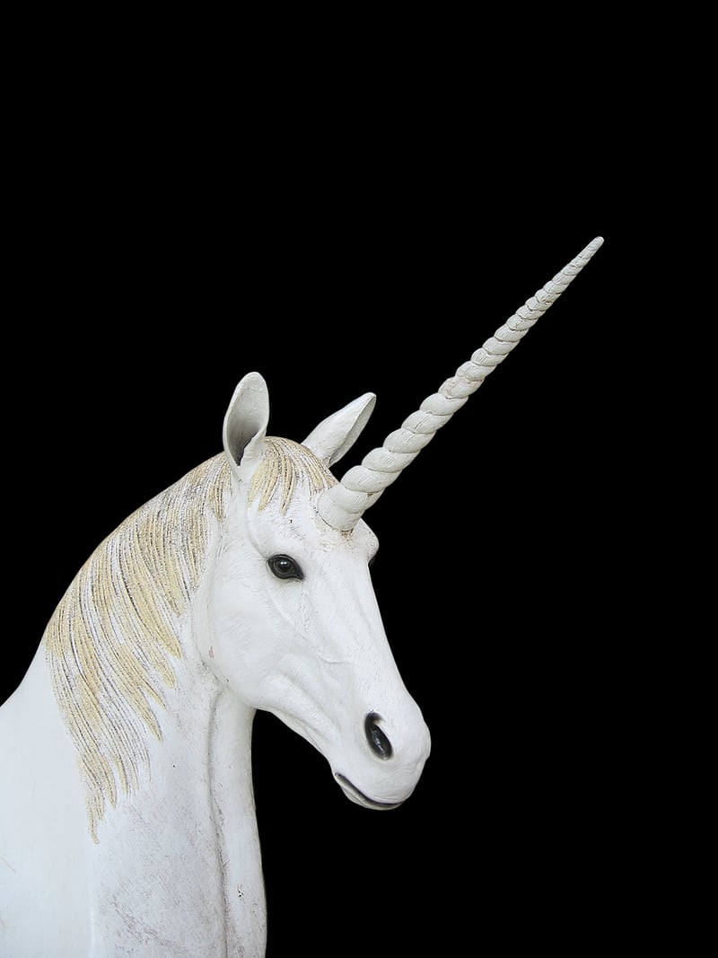 Unicorn Cosplay Costume